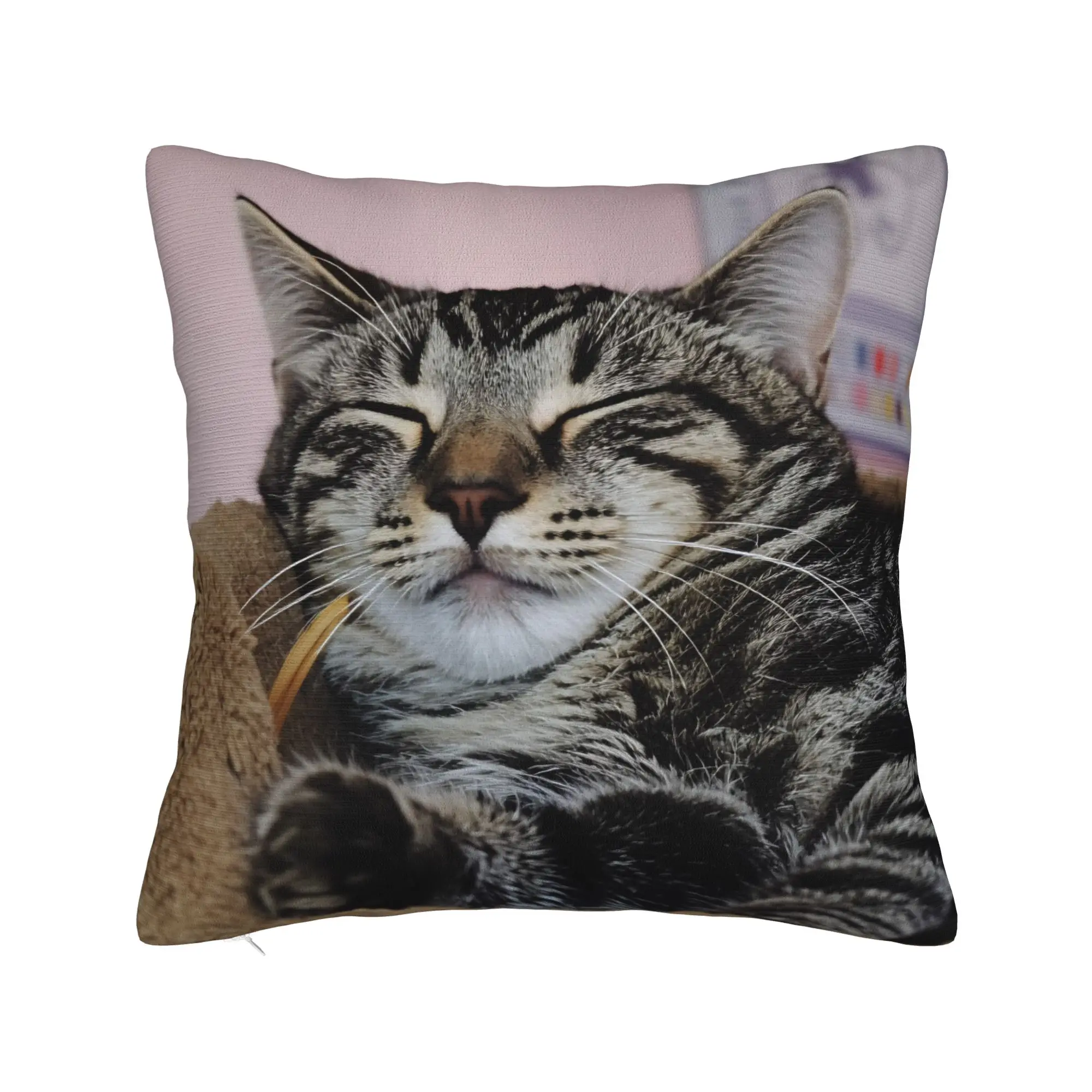 Cat Nap Artistic Design Pillow Case  Kawaii Pillow Cover Comfy Pillowcases For Sofa Home Decor