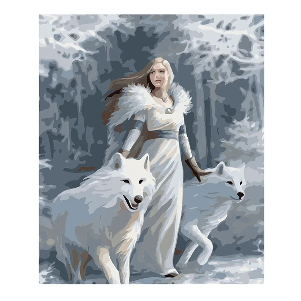 DIY Paint By Numbers Beauty Girl and Wolf Digital Oil Painting for Adult and Kids  Home Decor Art