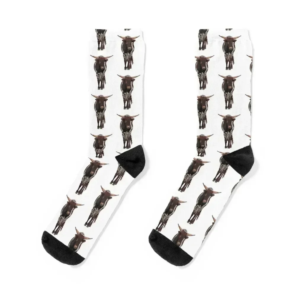 Longhorn bull calf Socks Stockings man retro Socks Men's Women's