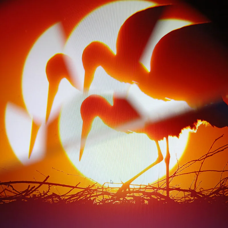 Linear Prism Lens Filter Camera Accessories Creative Photography Effect for Nikon d5300 Photo