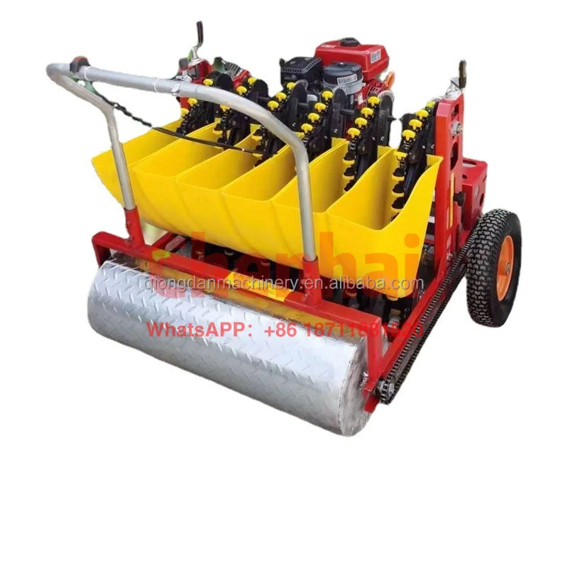 

Tractor mounted 6 rows garlic seeder garlic sowing seeds three point garlic planter planting machine