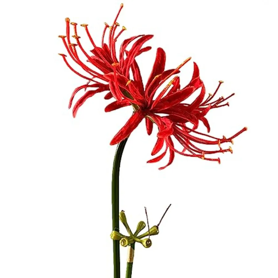 4 Stems 26.38'' Artificial Spider Lily Flowers Lycoris  for Home Garden tion Red