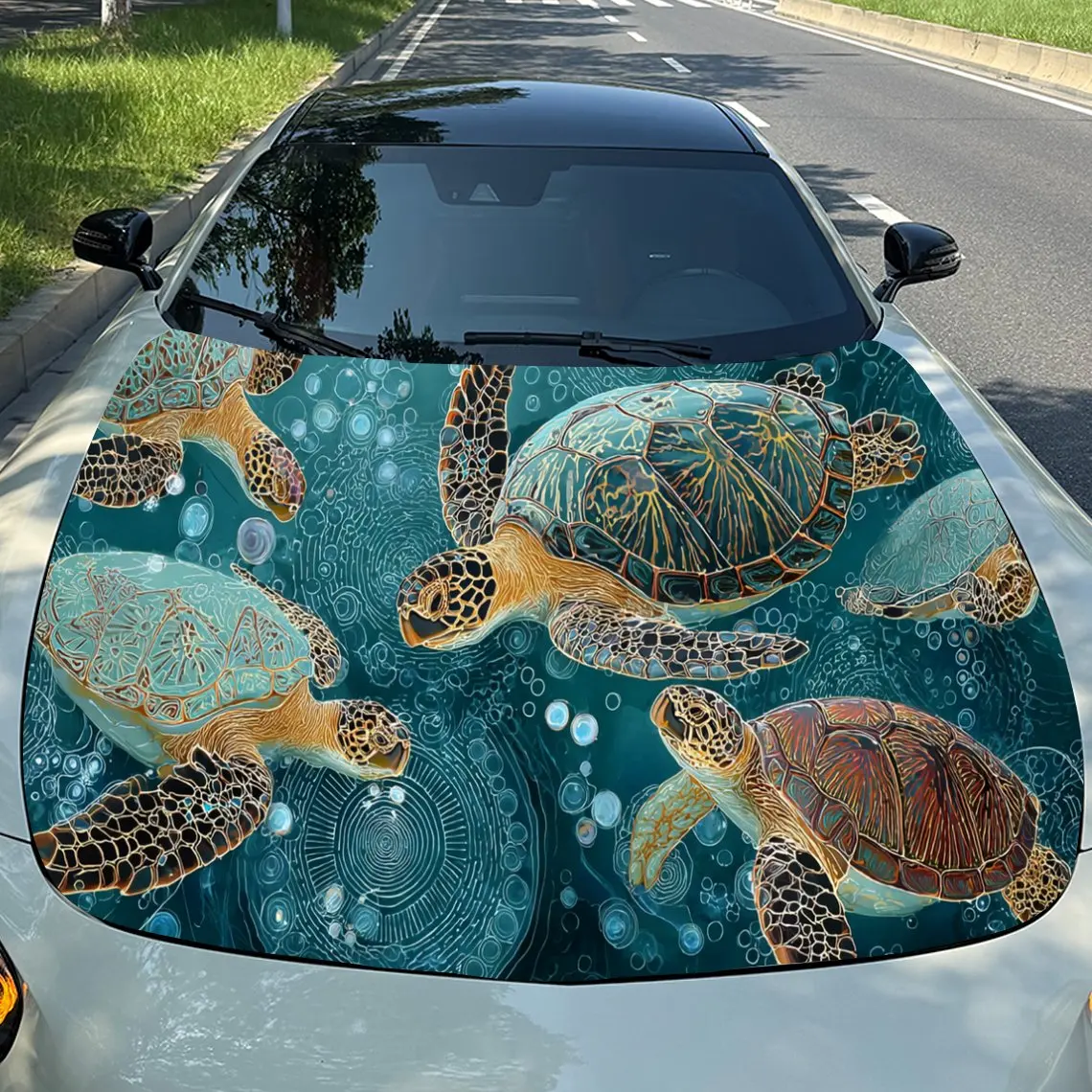 Striking Turtle Aut…