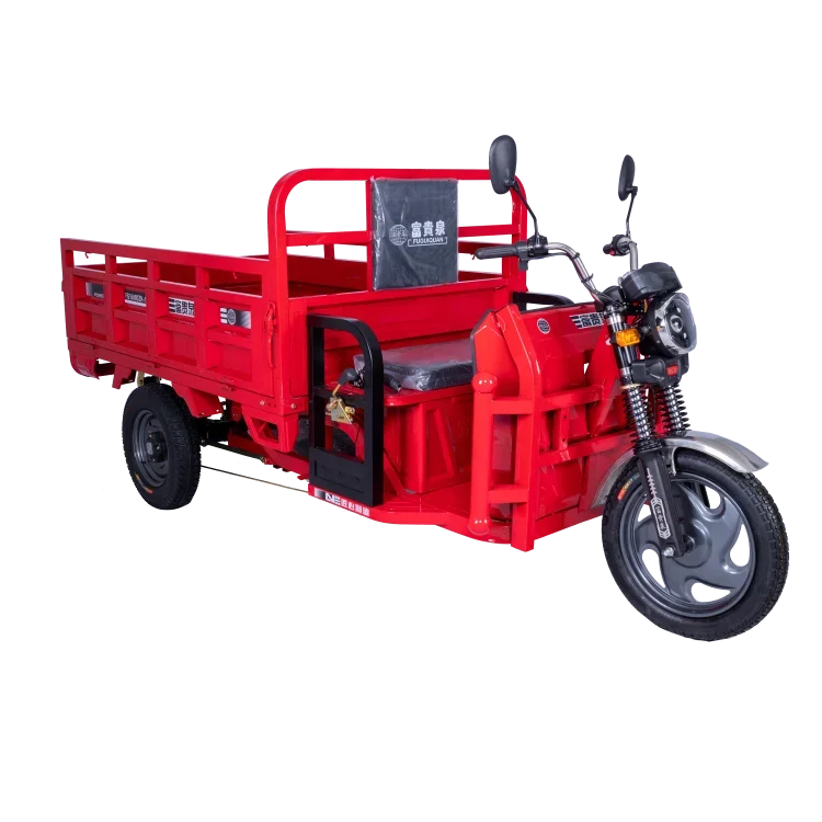 High Loding Capacity E-rickshaw Factory Direct Wholesale Tricycle 3 Wheel Electric Tricycle For Adults