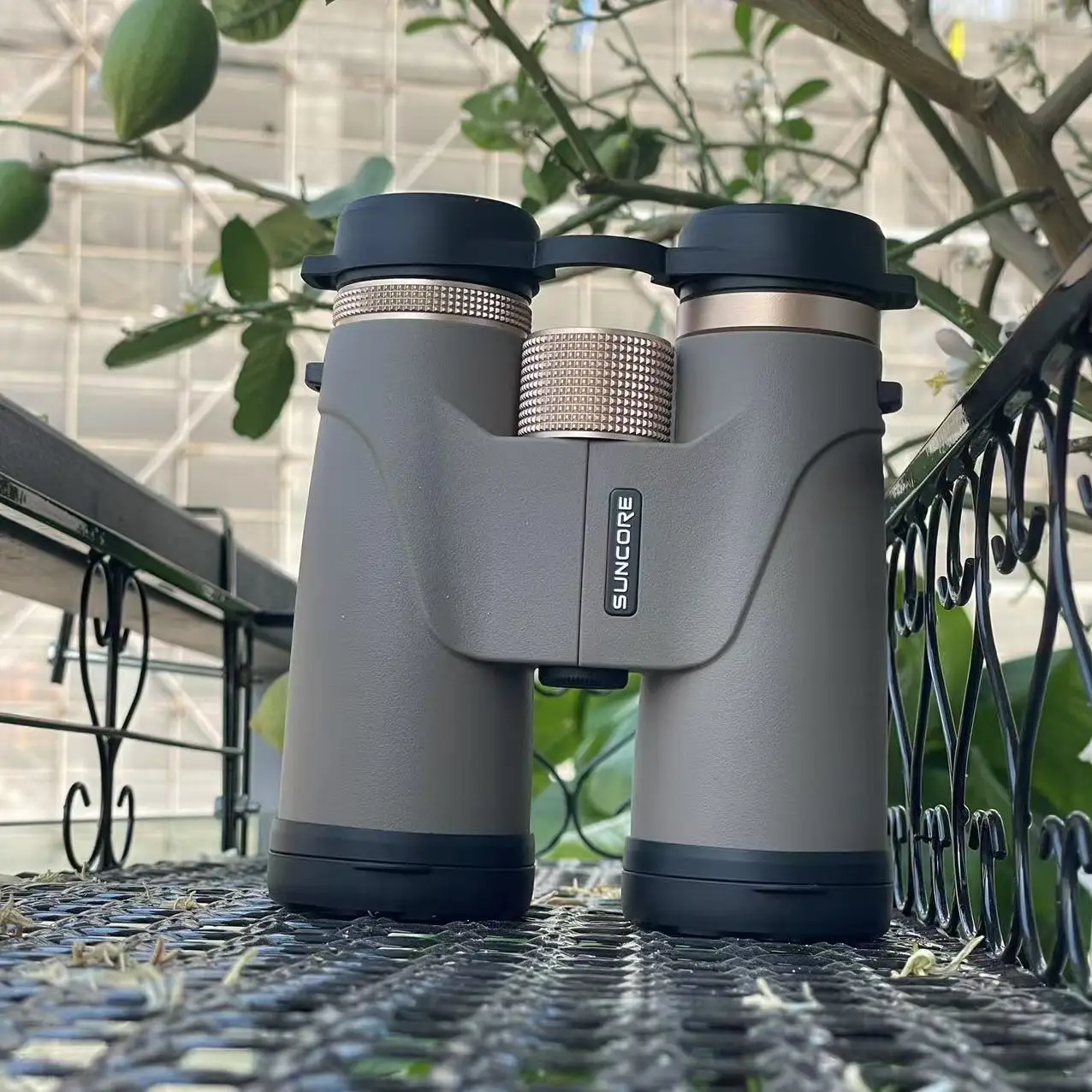 

Бинокль SUNCORE L 10x42 с фокусировкой, легкий, для путешествий и активного отдыха, отличный подарок