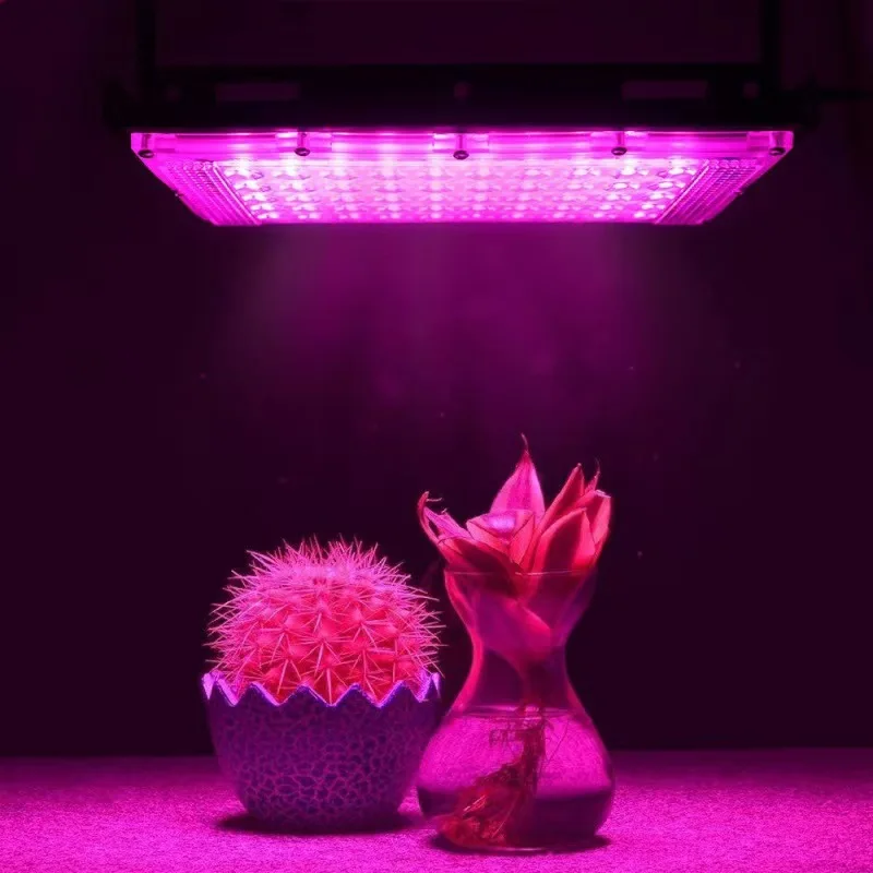 Volledige Spectrum LED Plant Grow Light AC220V 50/100/200/300W met schakelaar voor kas hydrocultuur planten bloemzaden groei licht