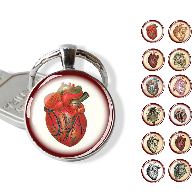 Medical Anatomical Heart Glass Keychain Alloy Key Rings Human Body Structure Key Chain Doctor Gift