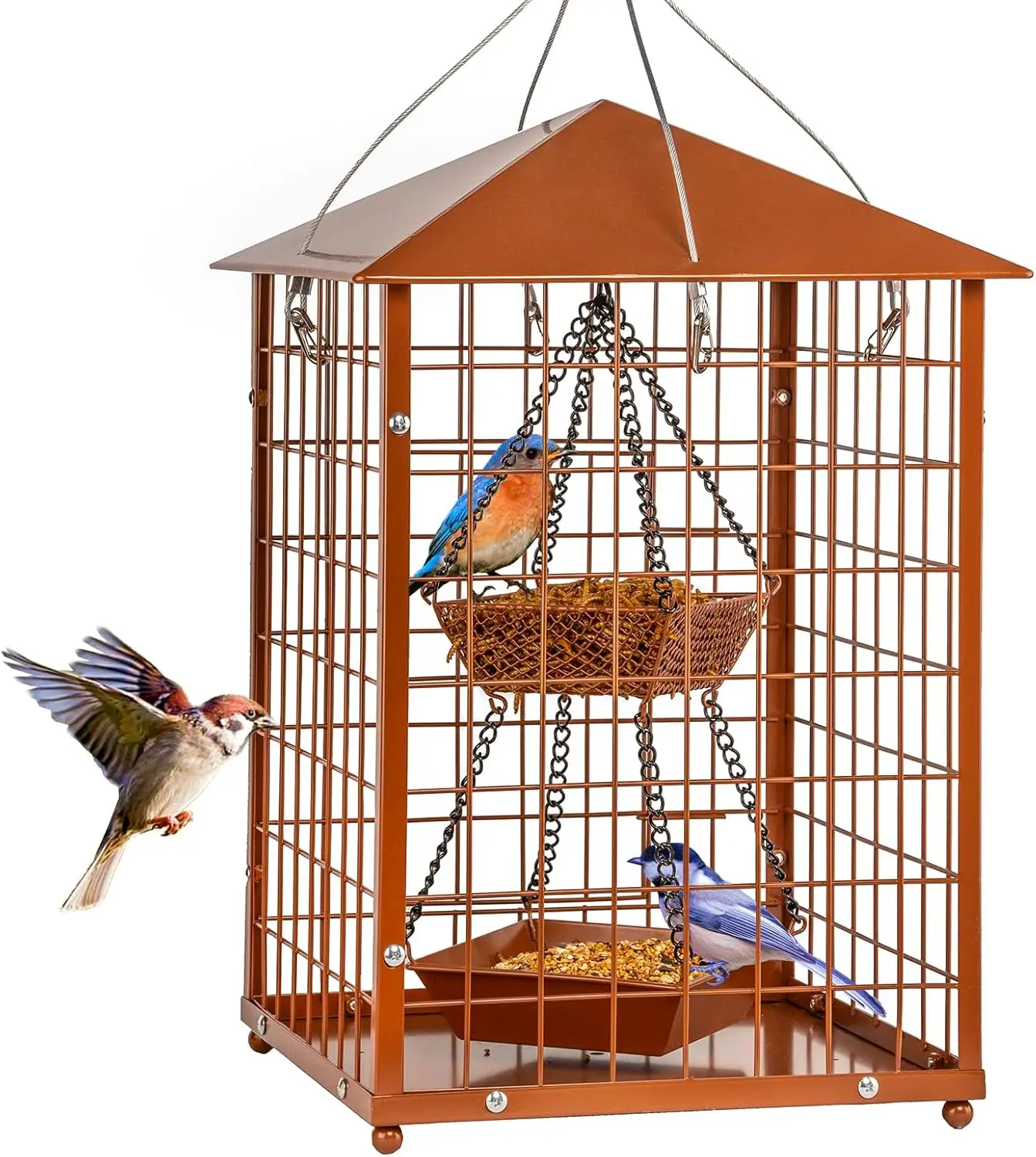 

Металлическая кормушка для птиц с защитой от белок, с 2 чашами, привлекает голубых и диких птиц, вместимость 2 фунта семян + чаша для мучных червей