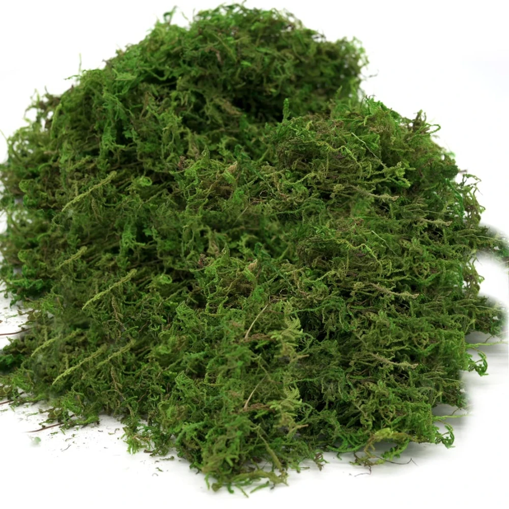 50/100g Fake Moss Artificial Green Moss for Potted Plants Fairy Garden Accessories