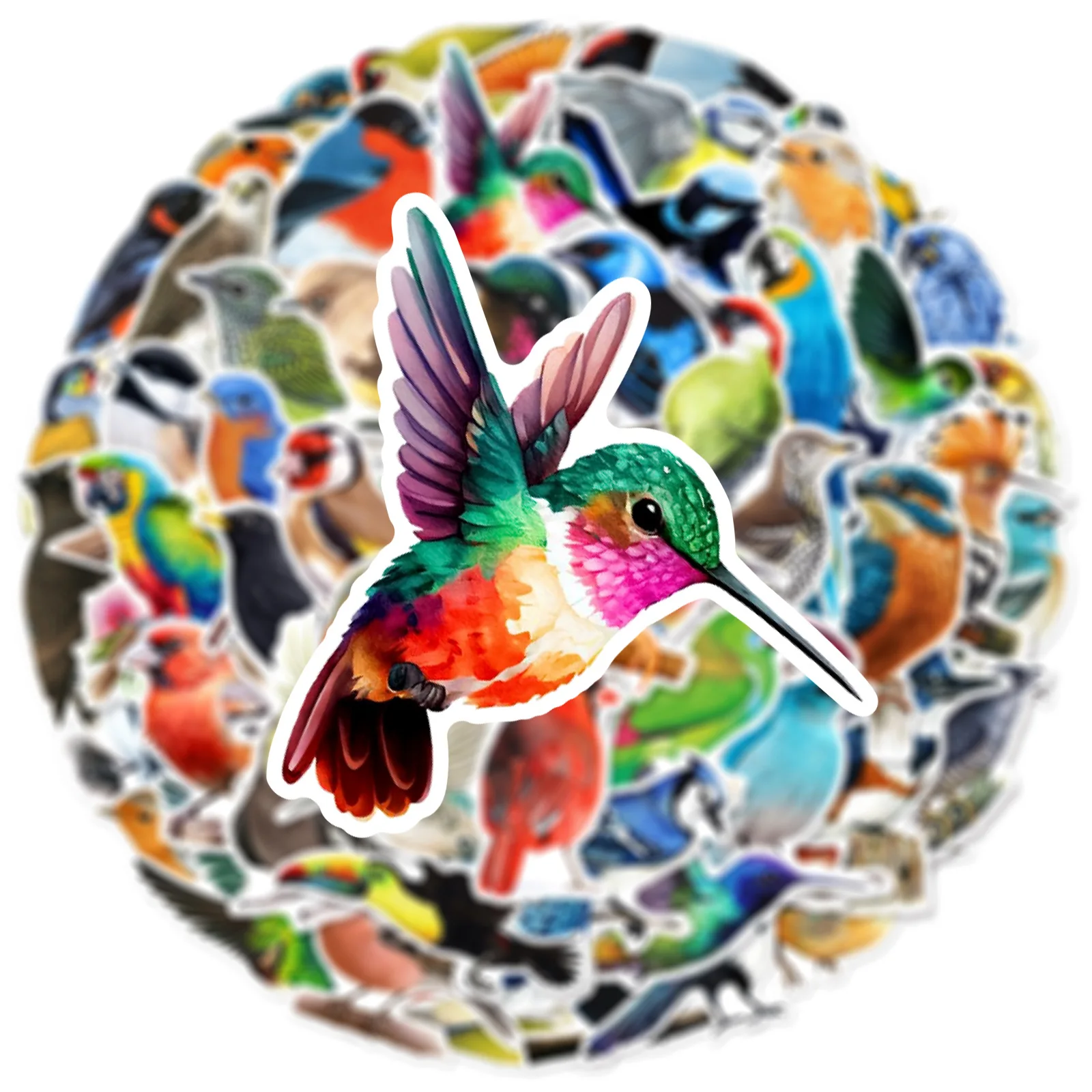 Aves coloridas e animais dos desenhos animados Graffiti adesivos, DIY, telefone, guitarra, laptop, notebook, mala, copo, adesivo impermeável, crianças brinquedo, 50pcs