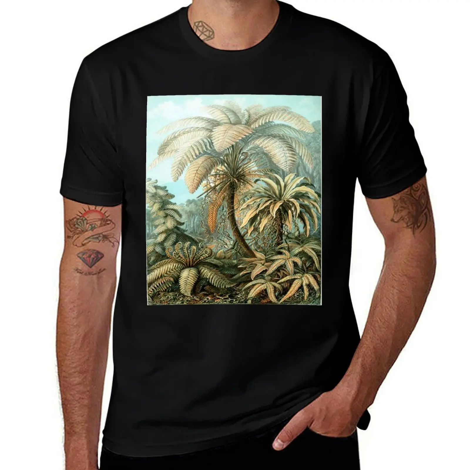 

Haeckel Filicinae 92 Drawing T-Shirt Plus Size Loose Short Sleeve Top