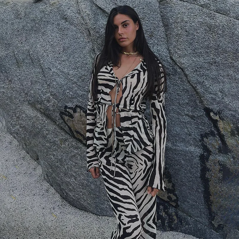 Animal Print Mesh Sheer Stripe Tie Front Detail Top Matching Sets Fashion Outfits 2 Piece Sets Holiday Beachwear Y2k Pants