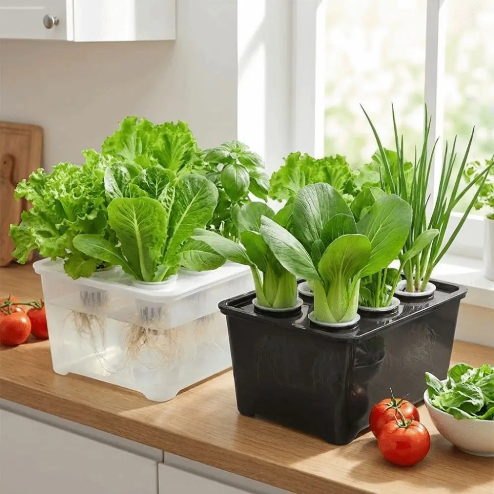 6 Holes Hydroponic Grower Kit Plastic Self Watering Soil-Free Planting Box Planting Container Thicken Versatile Cultivation Box