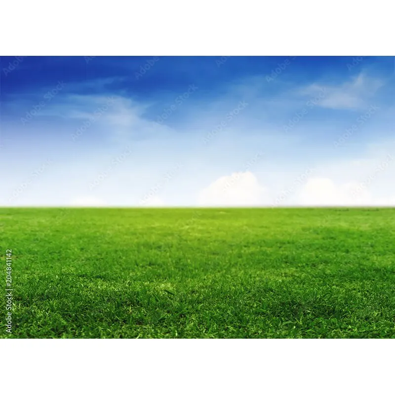 Puntelli di fotografia di paesaggio naturale erba verde e cielo blu con nuvole bianche sfondo fotografico puntelli da Studio 211223 KKLL-03