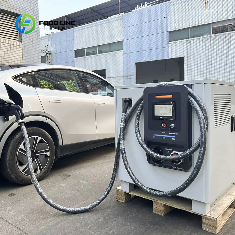 Customized 60KW DC Fast EV Charging Station Floor‑Mounted IP54 Energy Storage Emergency Power System for Electric Vehicle