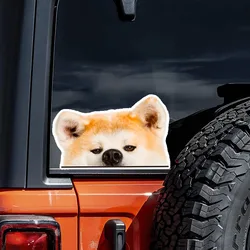 DK39#Akita Inu Scornful Eyes Funny Creative Waterproof Vinyl Decal Motorcycle Decorative Accessories