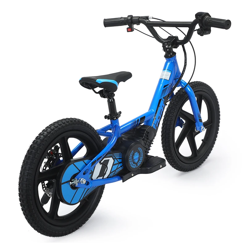 Factory Manufacture 16 -inch Children's Balanced Vehicle Children's Electric Bicycle 250W Children's Cycling