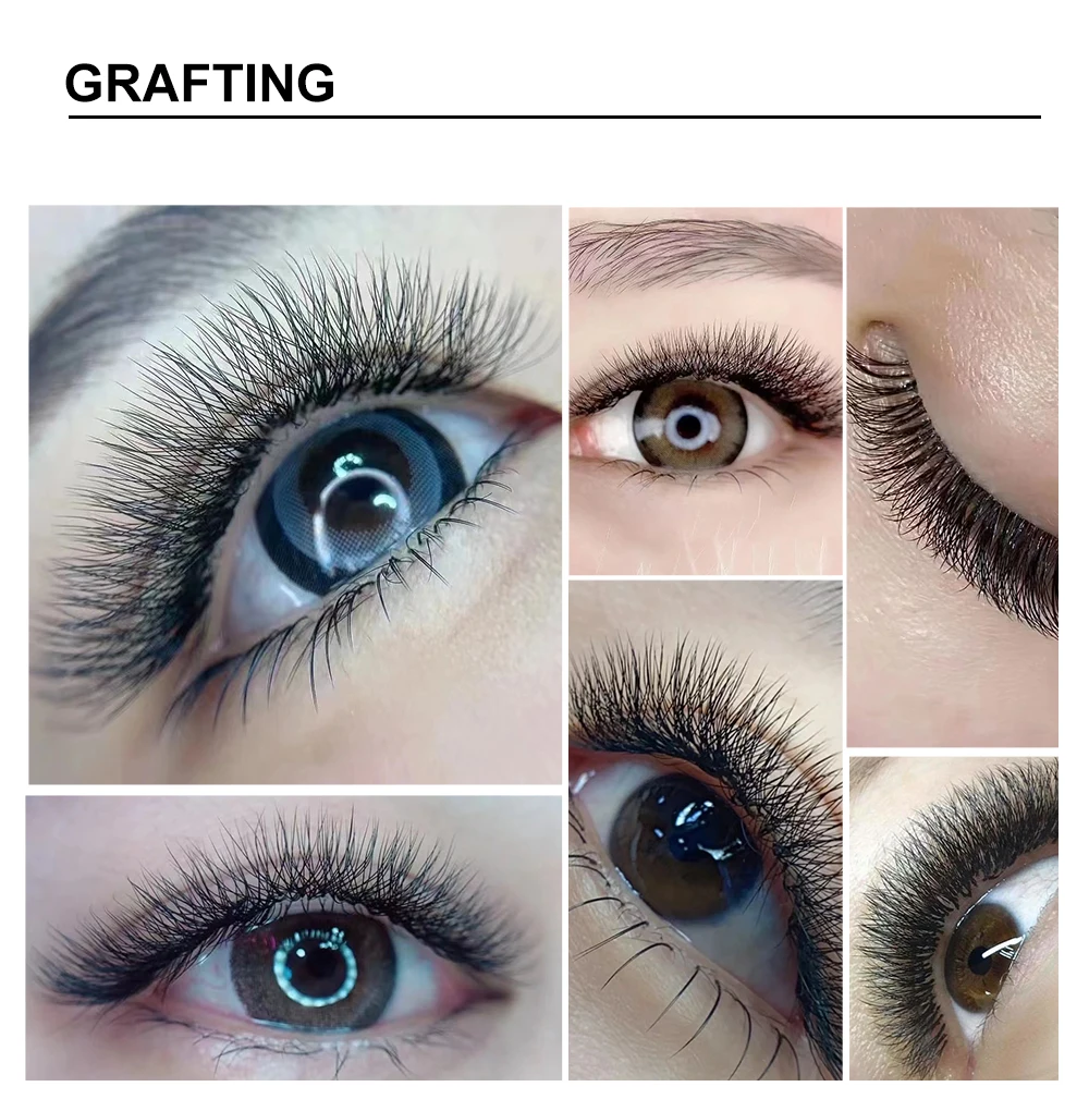 Yelix 5D W Handgewebte Vorgefertigte Volumen-Wimpernverlängerungen, Super Flauschige Tray-Großpackung für Professionelle und Salon-Anbieter – Detail 8