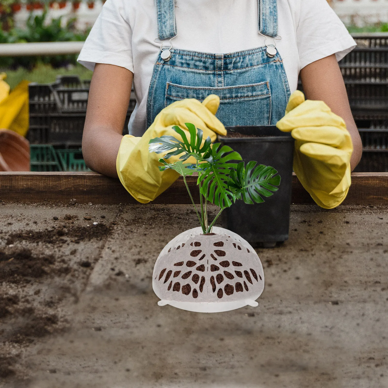 

1Set Planting Cover Plastic Soil Cover Split Design Breathable Floral Air Vent Cap for Aquarium Plants Butterfly Orchid Fixing