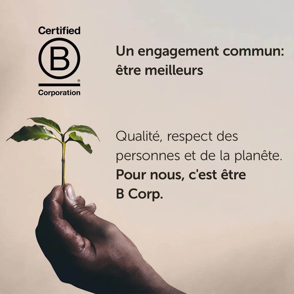 كبسولات قهوة ذات خدمة واحدة كبسولات كلاسيكو لونغو ملاحظات مشوية متوسطة الكراميل زهر البرتقال الياسمين سهلة التنظيف E.S.E. القهوة #6