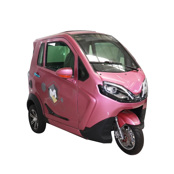 

2024 New EEC 3 Wheel Electric Vehicle Electric Fully Enclosed Body Electric Tricycle for Sale
