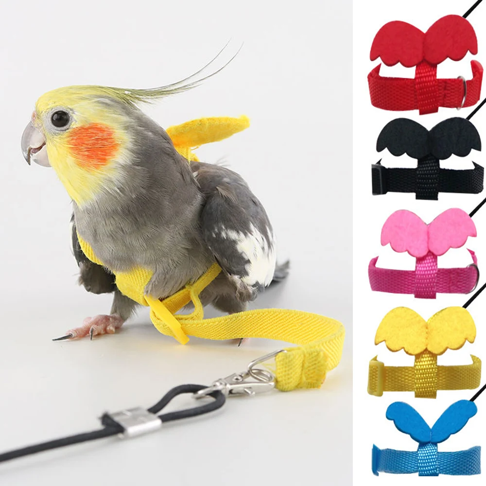 

2M Parrot Flying Sling Rope Training Bird Harness Leash Ultra Light Release Traction Rope Bird Release Rope Bird Accessories