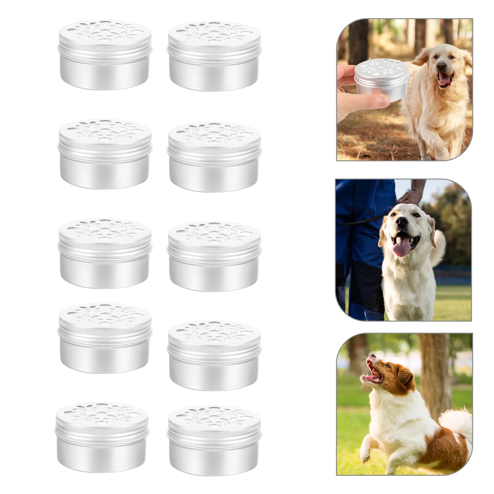 

10 Pcs Dog Training Container Supplies Activities Tools for Aluminum Nose Boxes