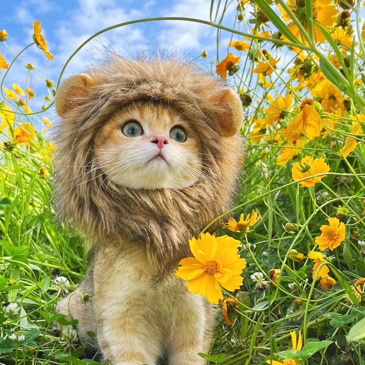 TONG New Cat Lion Costume Hat Pets Clothes Cap Cute Cat Wig Lion Mane Costume Cosplay Kitten Hat Lion Head Mane Hat for Cat