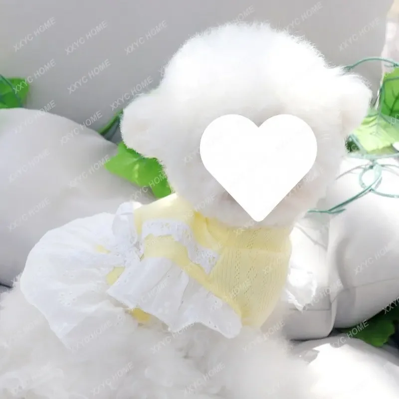 

Одежда для щенков, собак, юбка принцессы, весна/лето, тонкое летнее домашнее животное, маленькие щенки