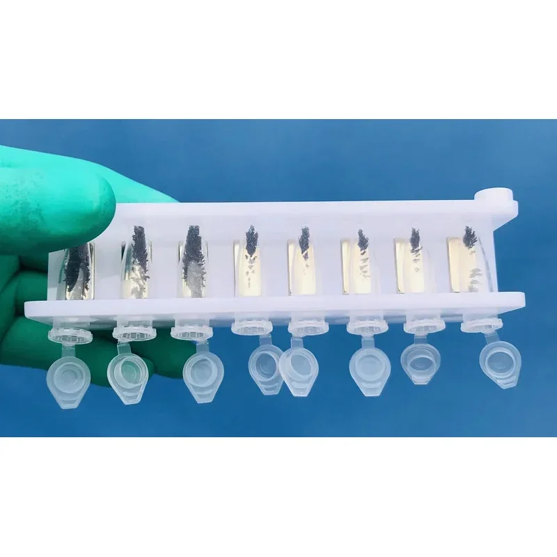 Estrazione del DNA con supporto per provette da centrifuga magnetica