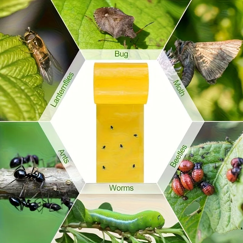 1 Rolle doppelseitiges, klebriges Insektenbarriere-Klebeband, wirksam gegen Schädlinge im Außenbereich, selbstklebend, geeignet für Bäume und Gärten – Detail 5