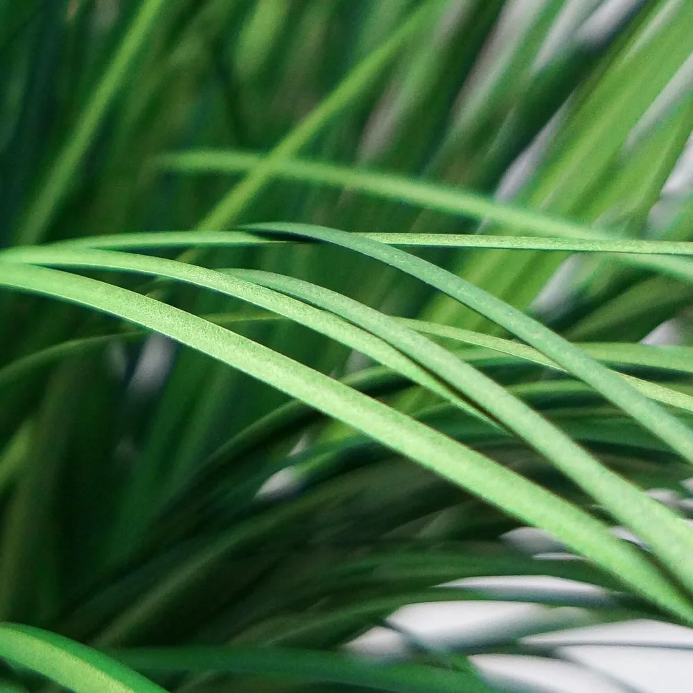 شجرة حرير عشب البصل الاصطناعي للمنزل والحديقة، طويل القامة 55 زارع ديكور داخلي وخارجي