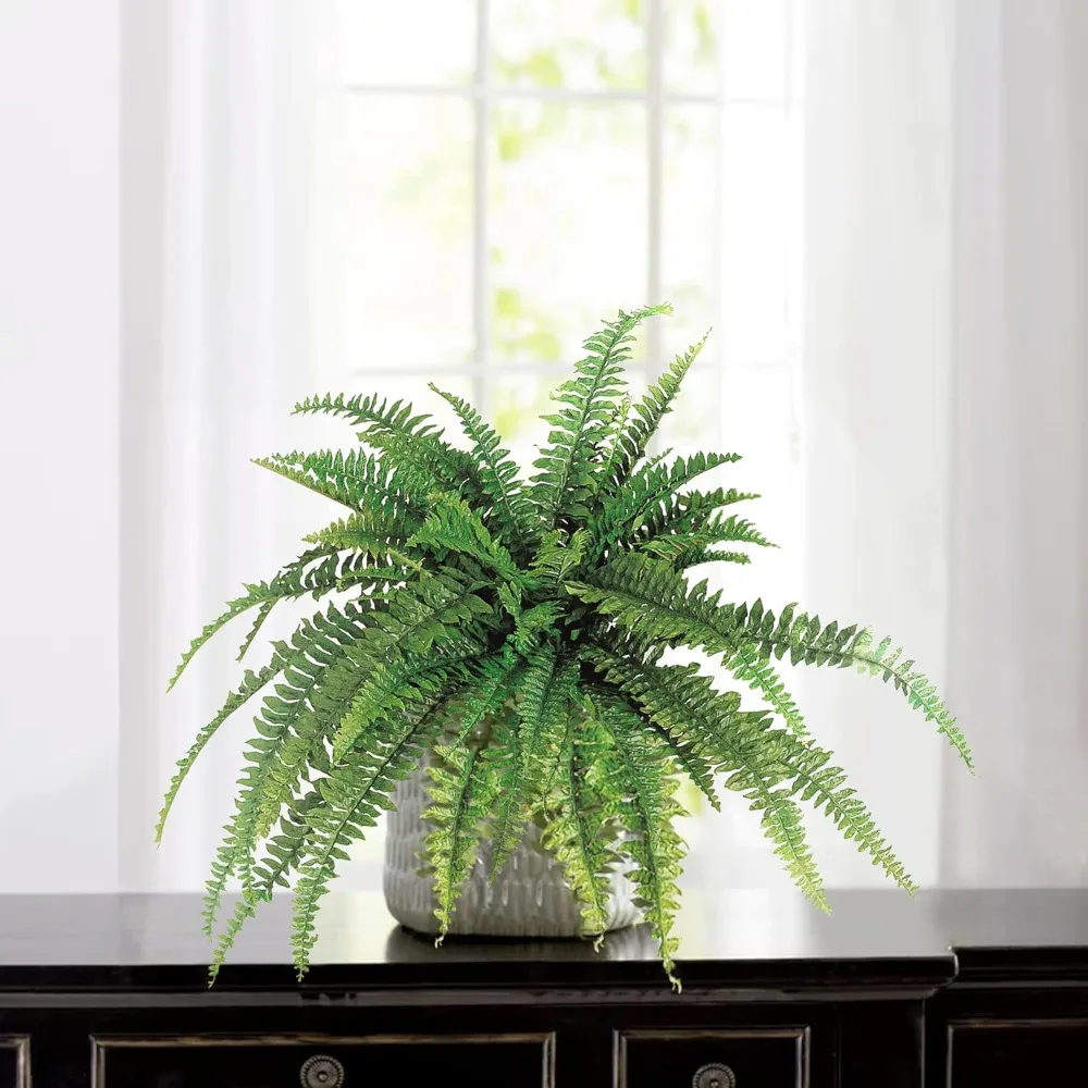 48-Inch Boston Fern…
