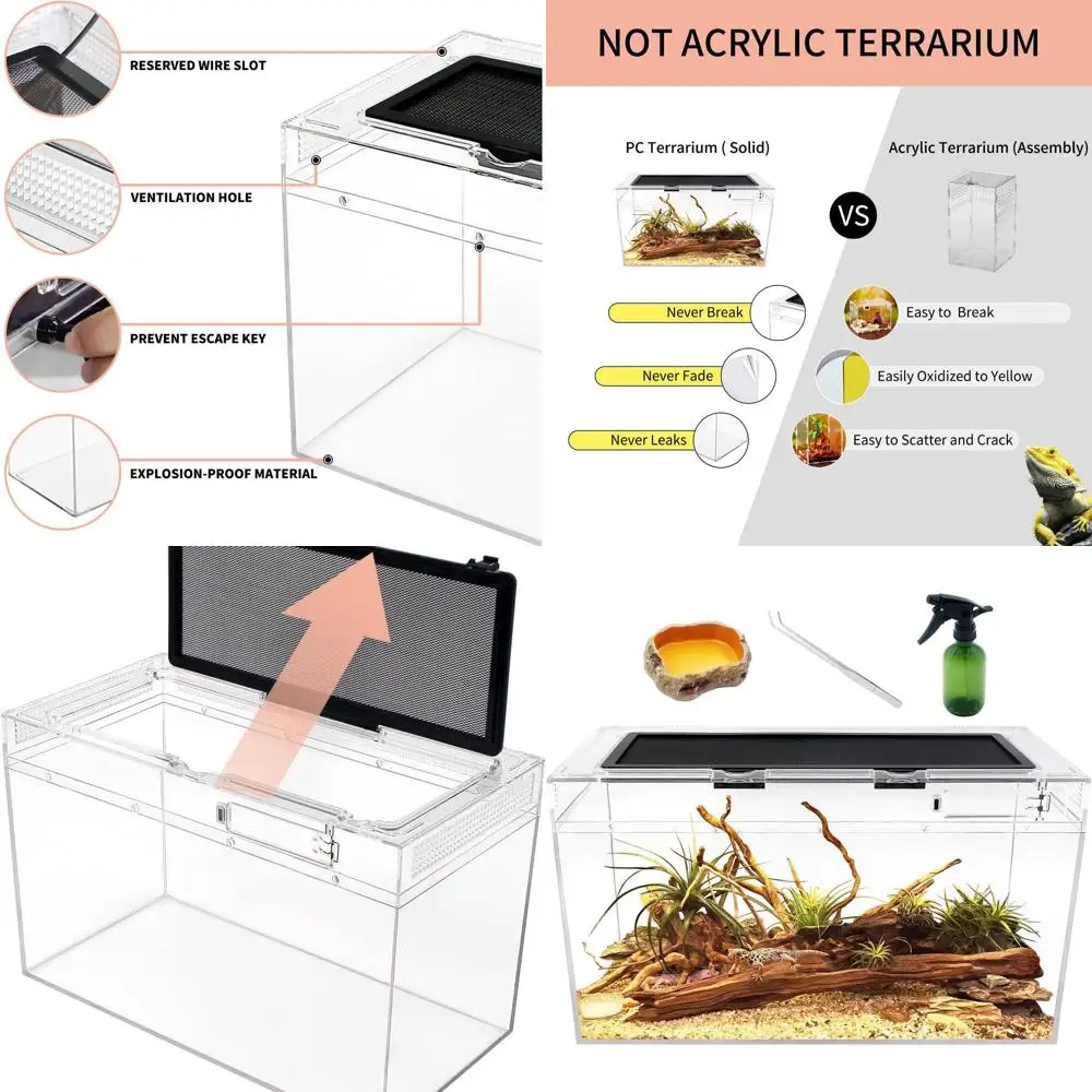 

10 Gallon Terrarium Tank - Ideal for Insects, Fish, Spiders, Crabs, Iguanas, Tortoises, Geckos & Dragons
