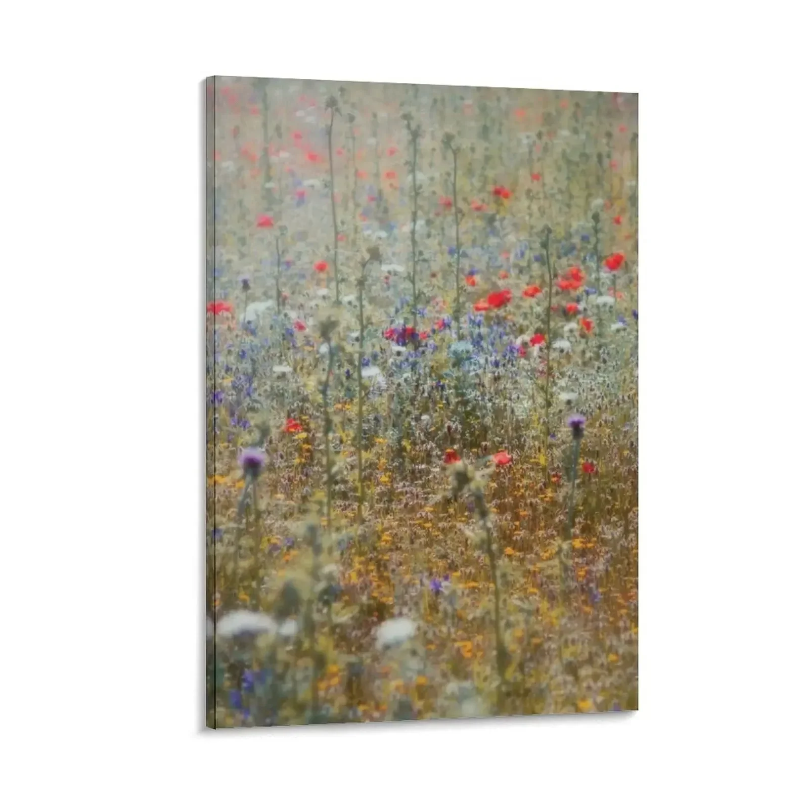 

Flowers Canvas Painting home decors accessories room decor wall decoration Decorative painting for bedroom