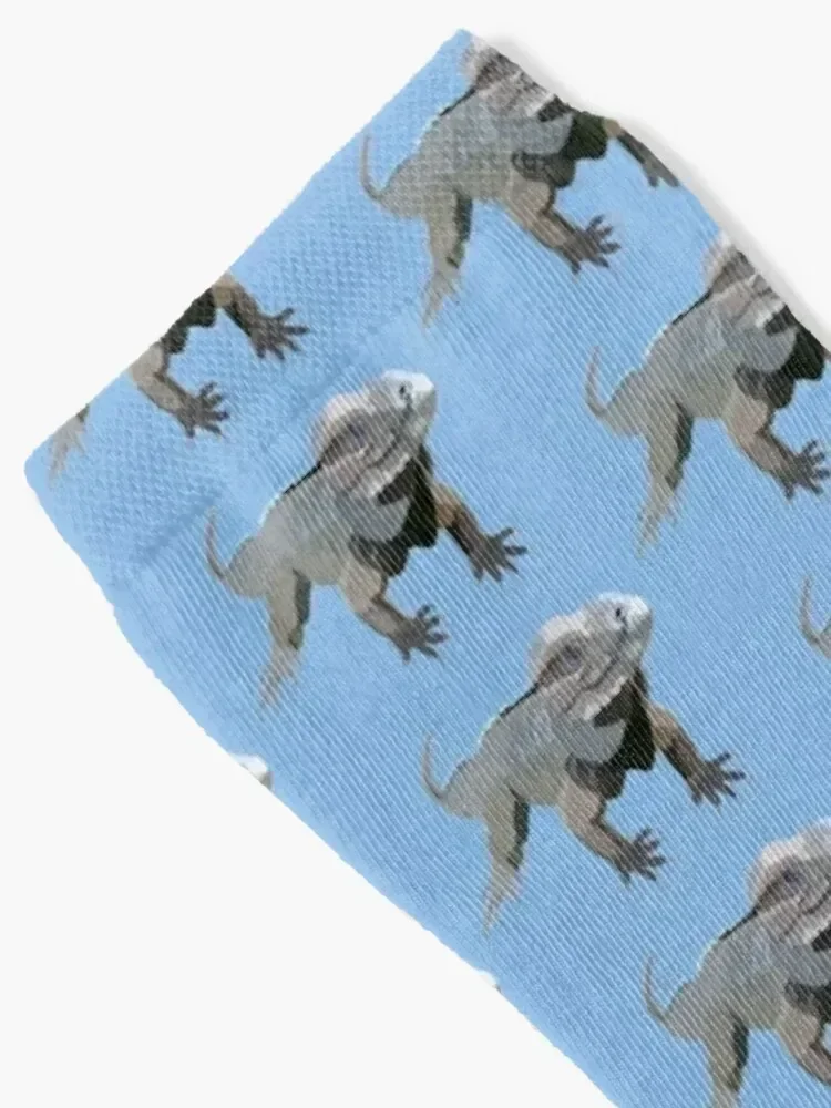 R is for Rhino Iguana Socks Stockings man Wholesale Mens Socks Women's