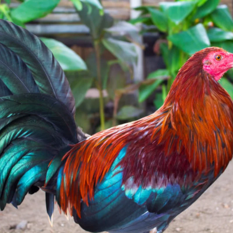 

SNT109 Go Kart Karting ATV UTV Track Electric Snowmobile Snowblower Rubber Tracks Car Accessories