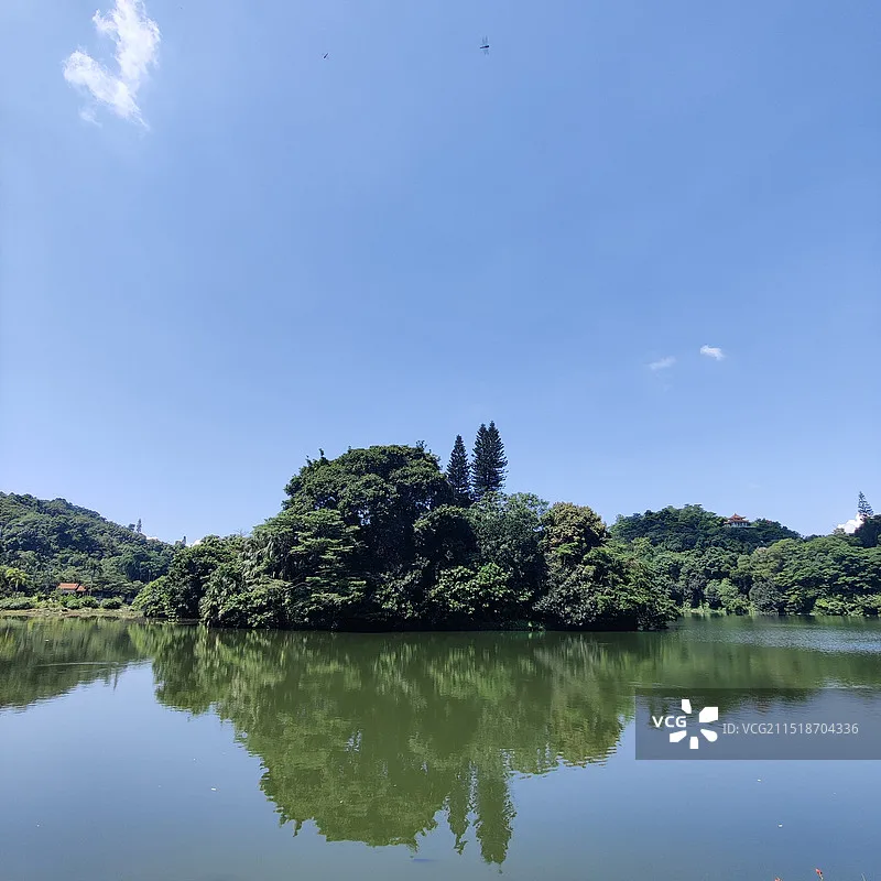 HPXGRC Tira LED roja/verde/rosa/azul (Plug & Play) No requiere soldadura, adecuada para piezas de bricolaje de drones FPV