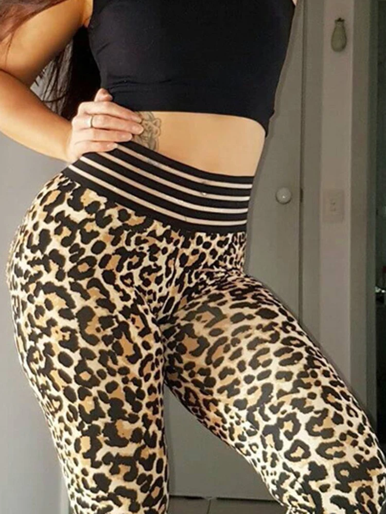 Leopard impresso esportes leggings para as mulheres, cintura alta calças justas, yoga, fitness, ginásio, exercício, corrida, novo