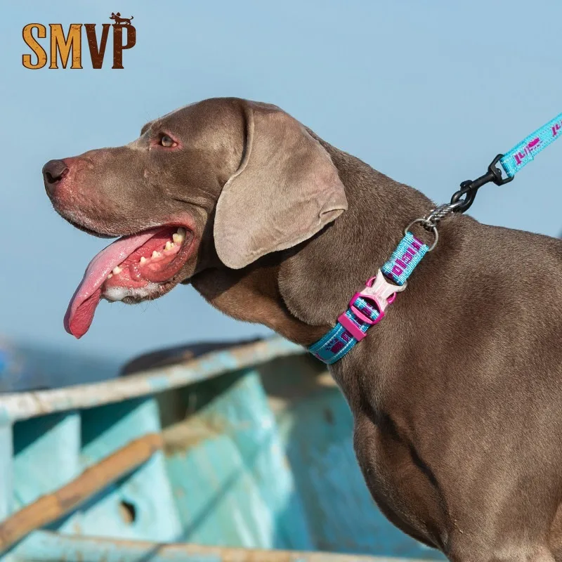 Handsome and Personalized Multi-color Selection Medium and Large Pet Traction Collar Dog Chain Explosion-proof Dog Leash