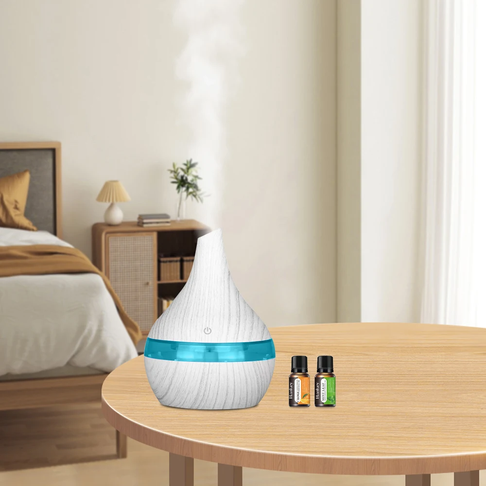 2 in 1 Compact Humidifier  Essential Oil Diffuser  300ml USB for Dry Air Relief
