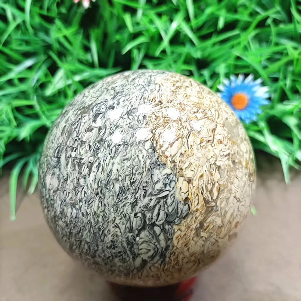 

natural dinosaur bone fossil sphere mineral specimen gemstone dragon fossil bone ball dinosaur stone madagascar healing