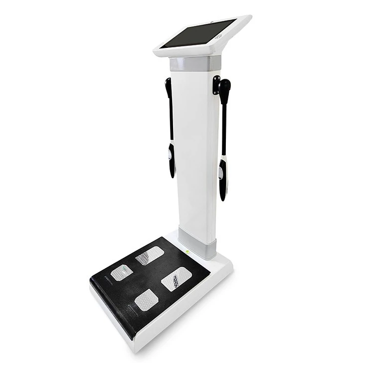 Body Analyzer in Pounds That Measures BMI Measure Analyzer Body Fat Measuring Instruments