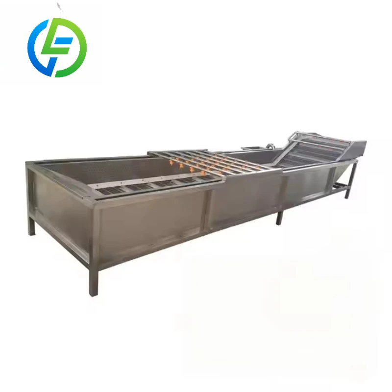 Customized Fruit Processing Equipment Avocado and Sorting Vegetable Washing Machine