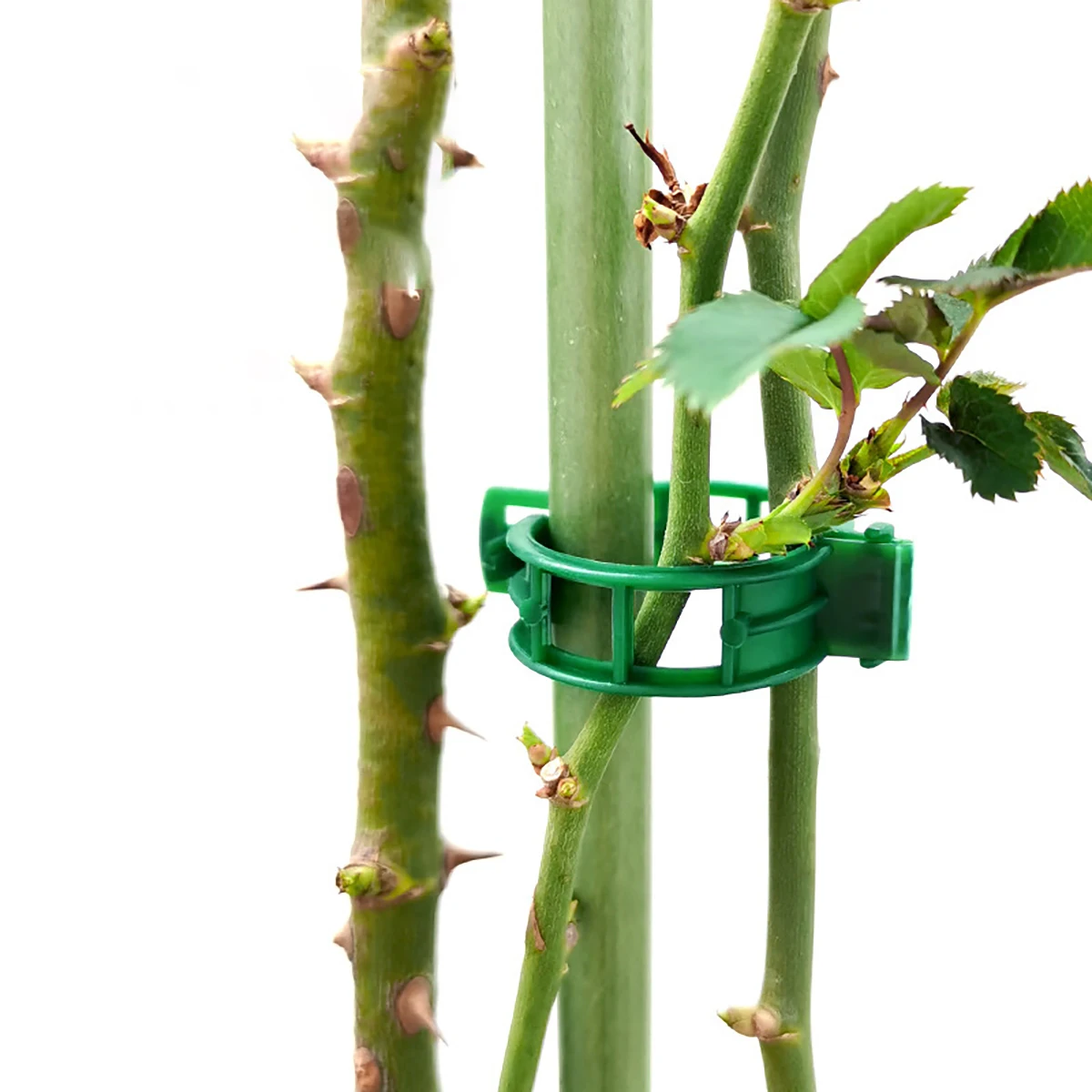 100pcs Horticultural Flower Stand Bracket, Potted Plant Flower Shape Support Rod, Fixed Anti Lodging Leaf Guard Frame