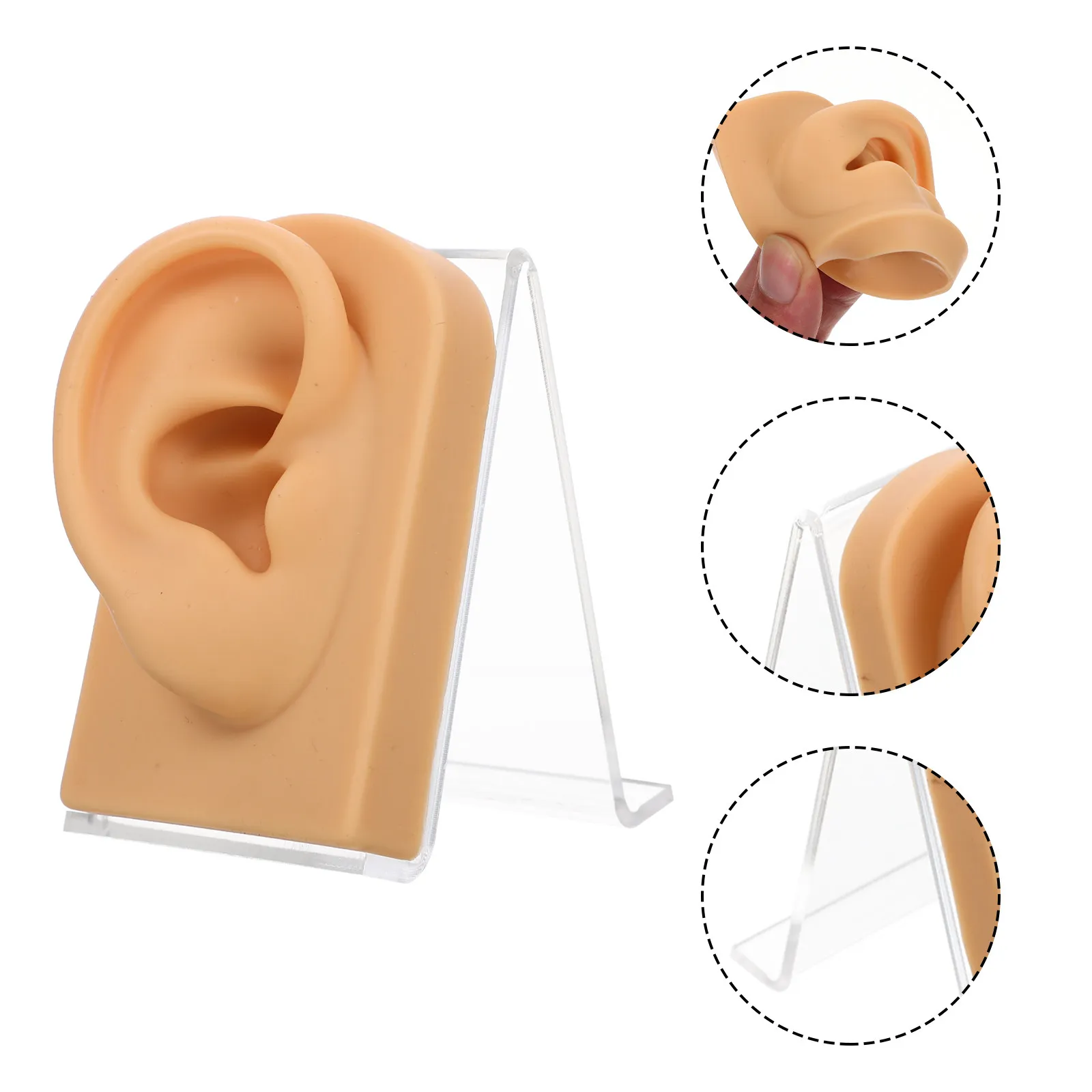 

1 Set Soft Silicone Ear Professional Fake Ear Training Multi-Function Desktop Earring Holder Displaying Earring Accessories