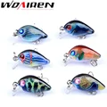 6 Pcs Mixed Colors