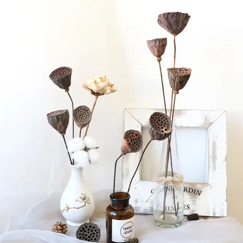 Wholesale home decoration graduate and Halloween dried flowers and plants, including pods and dried lotus pods