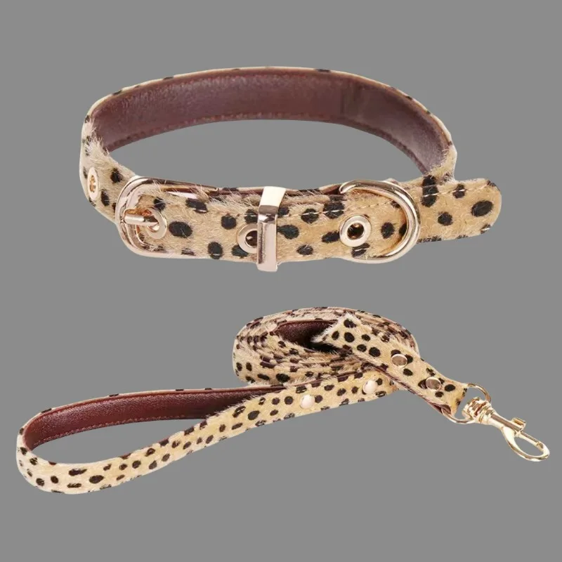 Thumbnail 2 - #59 Best Adjustable Pet Collars to Buy In 2026