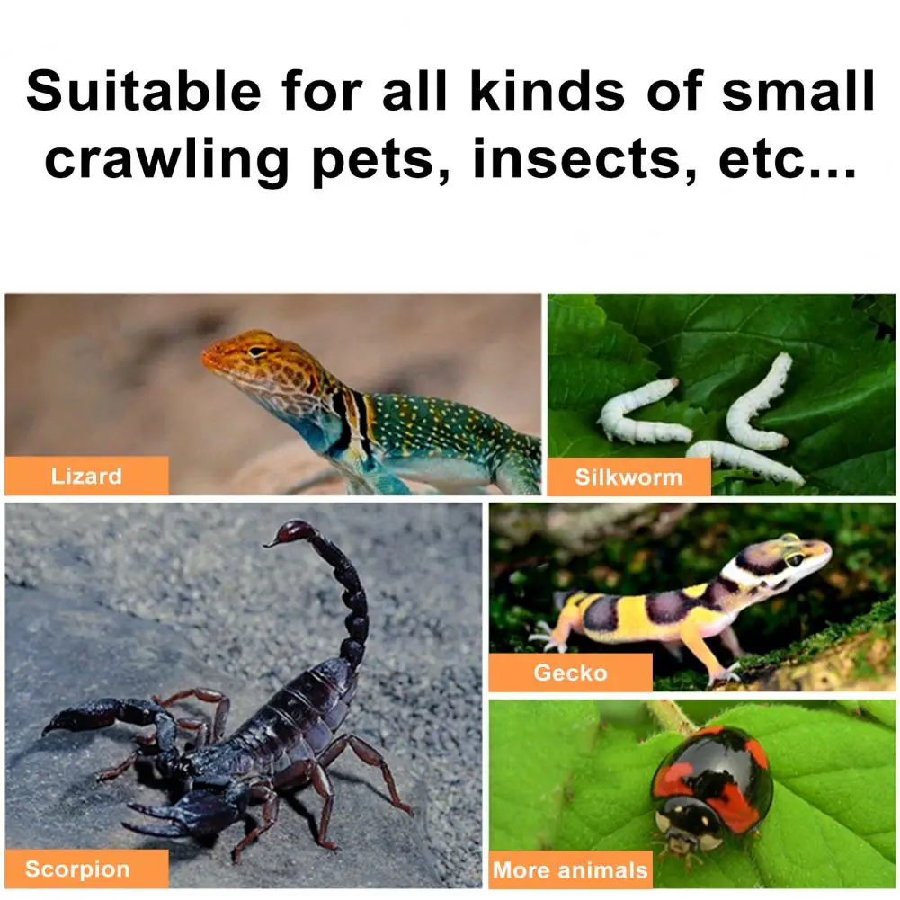 Gabinete Pet com furos de ar, Air Circulation Pet Box, Ventilado Alimentando Box com espaço de visualização, Buraco respirável para pacífica